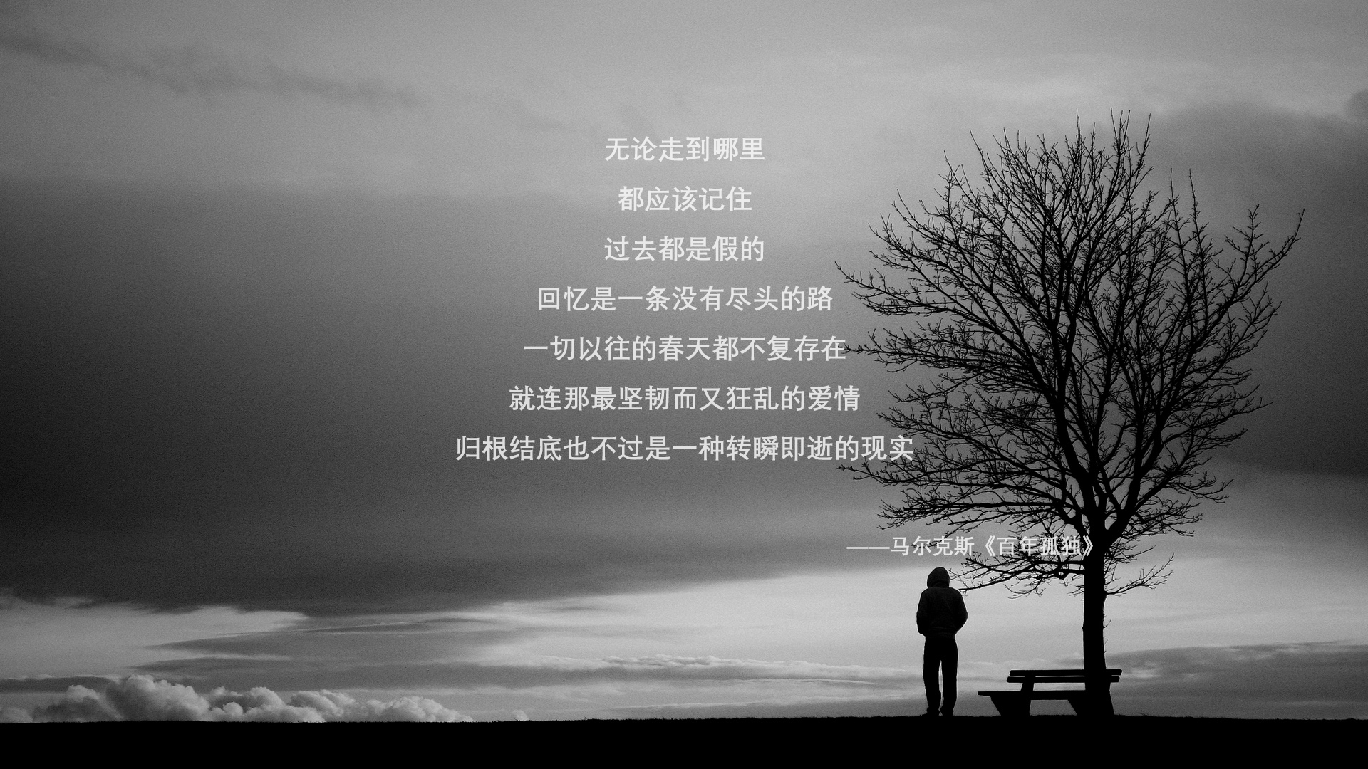 逆战英雄,佩德里领航,波兰逆转斯洛伐克—美加墨世界杯关键战的荣耀独白